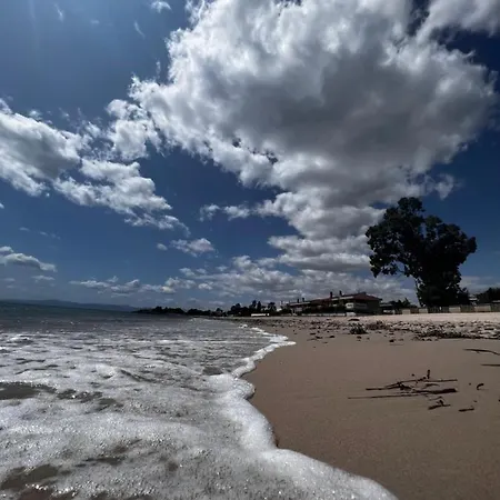 Sardegna Holiday home *